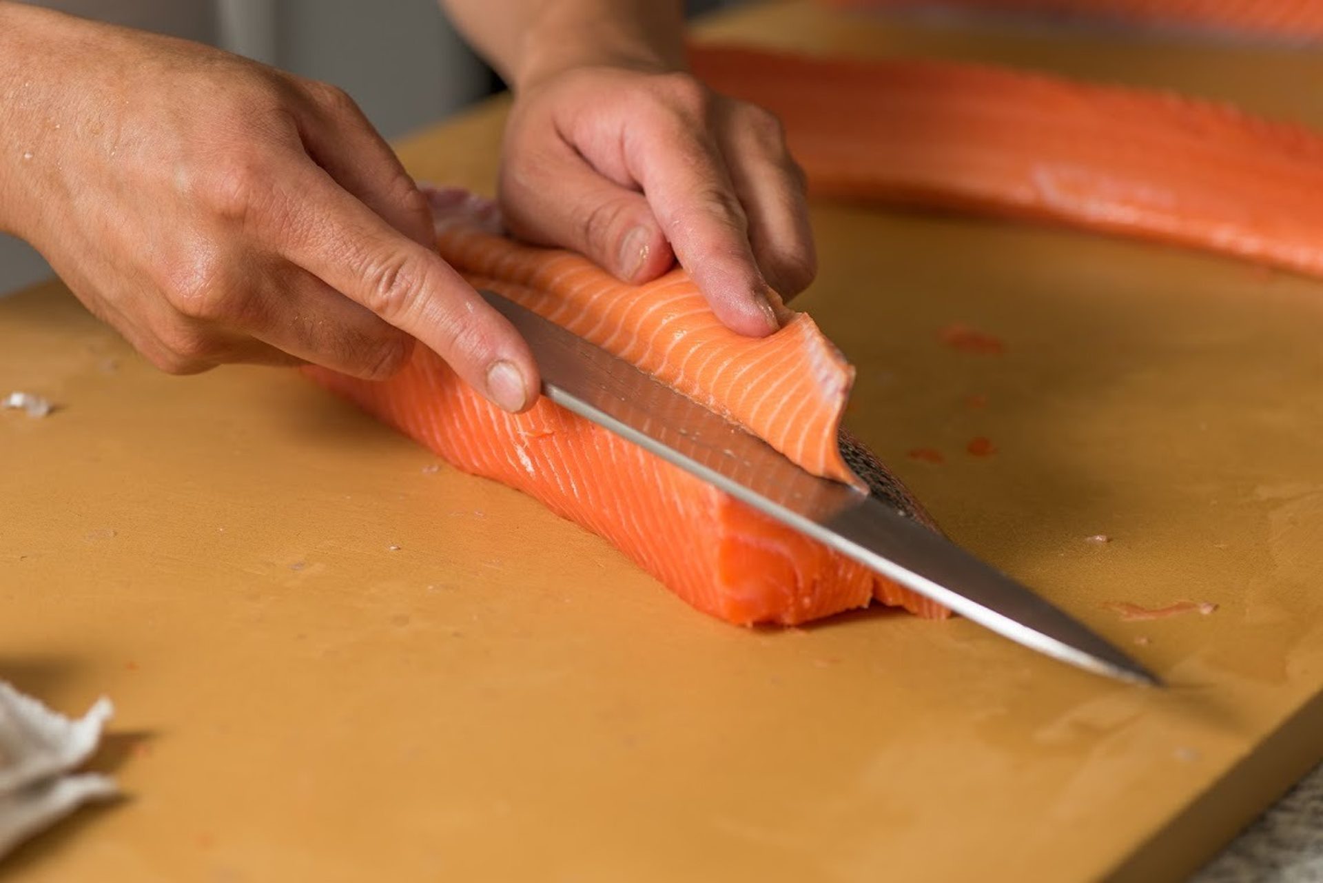 Our Salmon